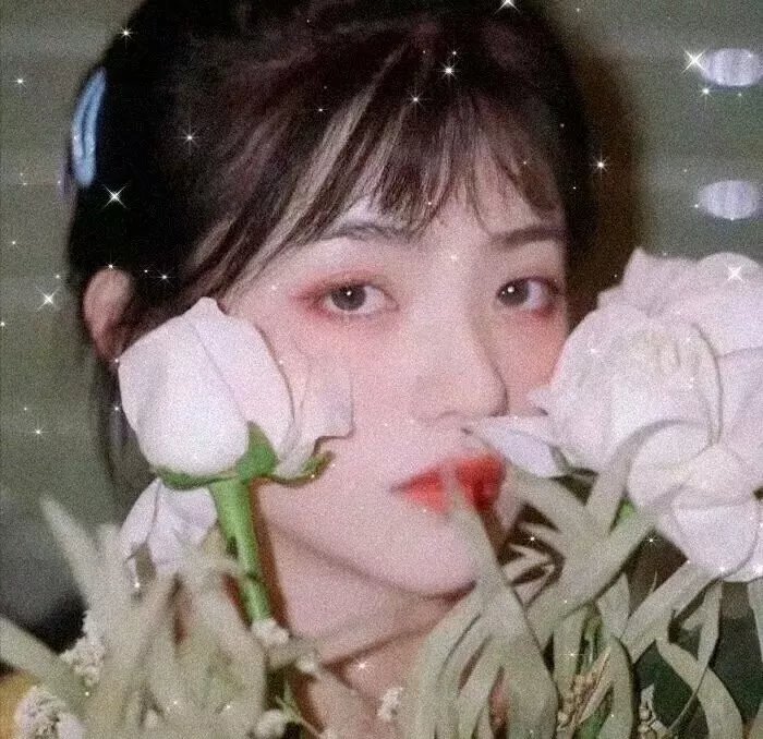 埃及自由之花